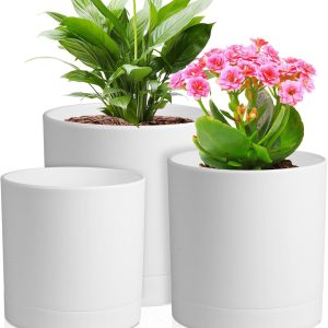 Set of minimalist plant pots